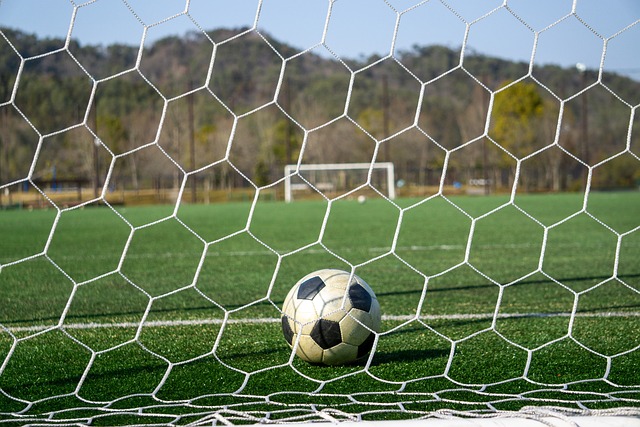 哈蘭德的成 哈蘭德的成