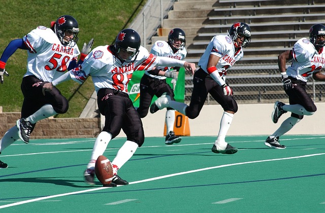 邓弗里斯的 邓弗里斯的