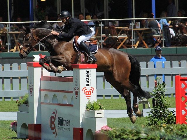 率虽保持在 率虽保持在