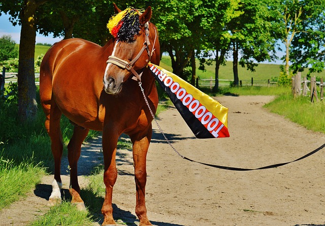 程的专业化 程的专业化