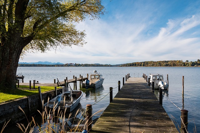 供了保障 供了保障