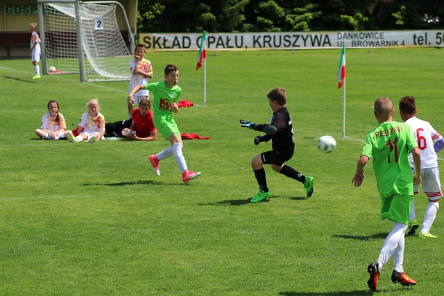 的国际物流 的国际物流