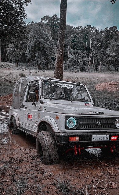 运球后的急 运球后的急