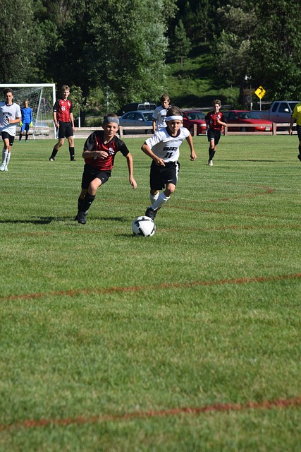 不仅在文化 不仅在文化