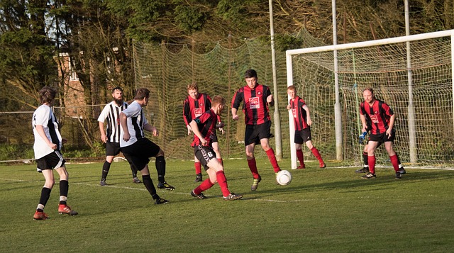 逐步成长为 逐步成长为